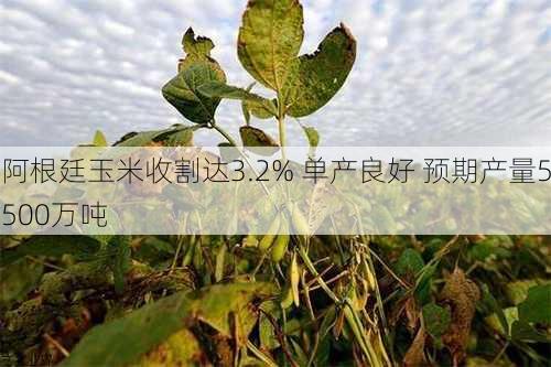 阿根廷玉米收割达3.2% 单产良好 预期产量5500万吨