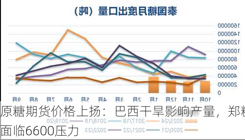 原糖期货价格上扬：巴西干旱影响产量，郑糖面临6600压力