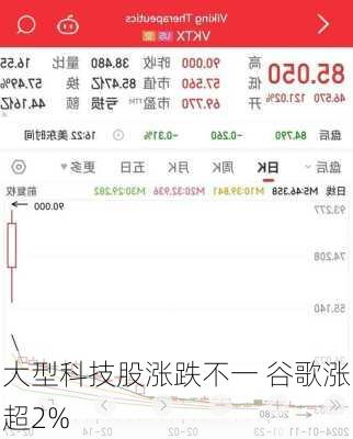 大型科技股涨跌不一 谷歌涨超2%