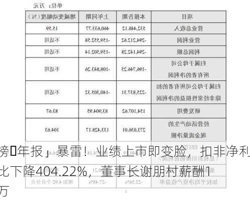 「芯榜・年报」暴雷！业绩上市即变脸，扣非净利润同比下降404.22%，董事长谢朋村薪酬104.1万