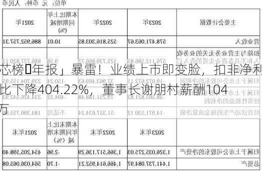 「芯榜・年报」暴雷！业绩上市即变脸，扣非净利润同比下降404.22%，董事长谢朋村薪酬104.1万