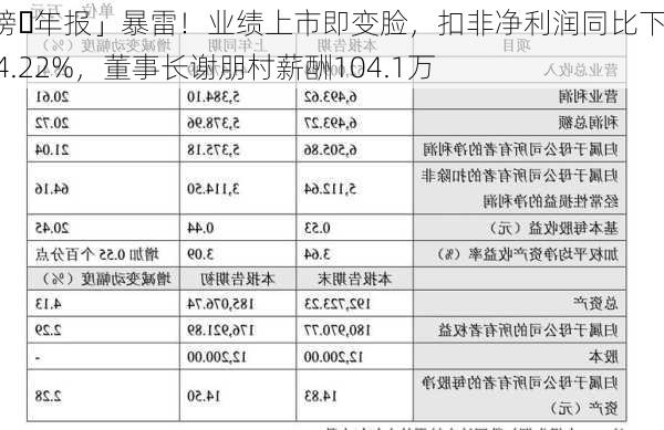 「芯榜・年报」暴雷！业绩上市即变脸，扣非净利润同比下降404.22%，董事长谢朋村薪酬104.1万