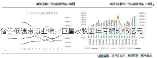 猪价低迷带崩业绩，巨星农牧去年亏损6.45亿元