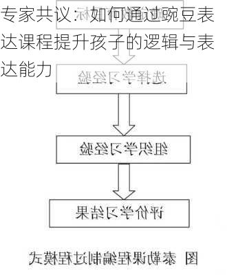 专家共议：如何通过豌豆表达课程提升孩子的逻辑与表达能力