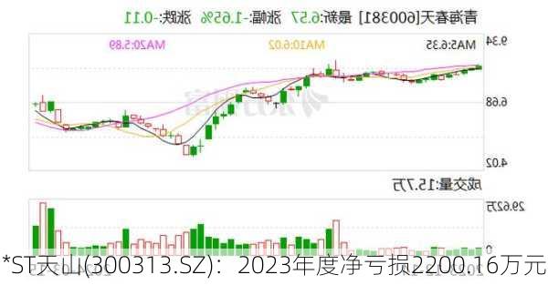 *ST天山(300313.SZ)：2023年度净亏损2200.16万元