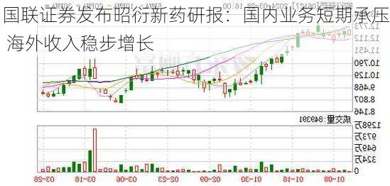 国联证券发布昭衍新药研报：国内业务短期承压 海外收入稳步增长