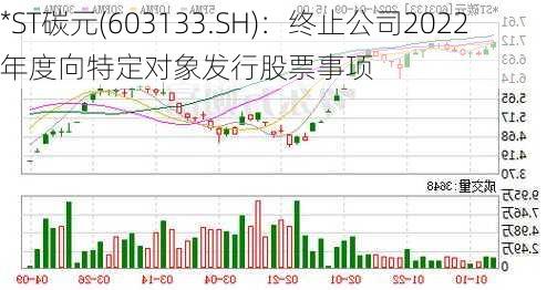 *ST碳元(603133.SH)：终止公司2022年度向特定对象发行股票事项