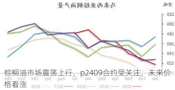 棕榈油市场震荡上行，p2409合约受关注，未来价格看涨