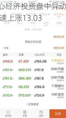 核心经济投资盘中异动 急速上涨13.03%