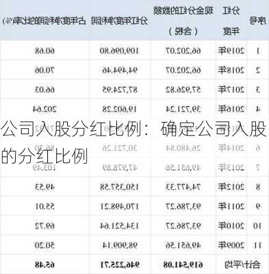 公司入股分红比例：确定公司入股的分红比例