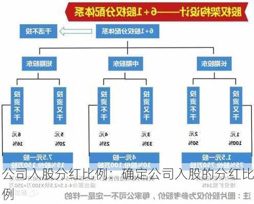 公司入股分红比例：确定公司入股的分红比例