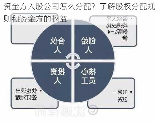 资金方入股公司怎么分配？了解股权分配规则和资金方的权益