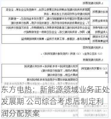 东方电热：新能源领域业务正处发展期 公司综合考虑后制定利润分配预案