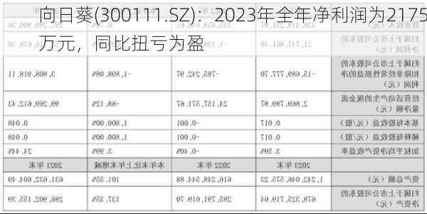 向日葵(300111.SZ)：2023年全年净利润为2175万元，同比扭亏为盈