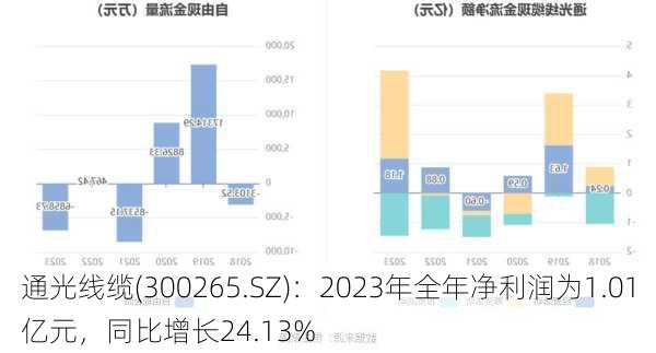 通光线缆(300265.SZ)：2023年全年净利润为1.01亿元，同比增长24.13%