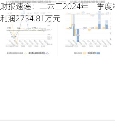 财报速递：二六三2024年一季度净利润2734.81万元