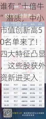 谁有“十倍牛”潜质，中小市值创新高50名单来了！四大特征凸显，这些股获外资新进买入