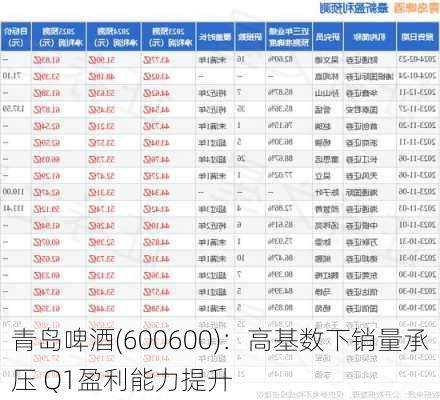 青岛啤酒(600600)：高基数下销量承压 Q1盈利能力提升