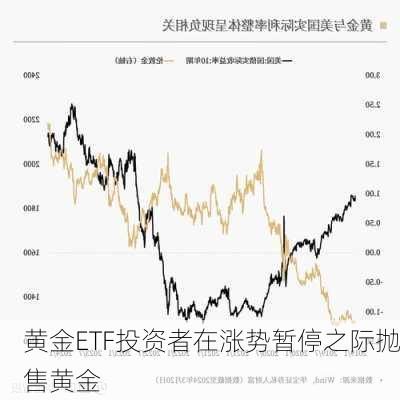 黄金ETF投资者在涨势暂停之际抛售黄金