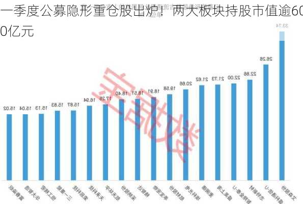 一季度公募隐形重仓股出炉！两大板块持股市值逾600亿元