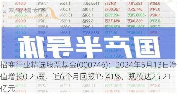 招商行业精选股票基金(000746)：2024年5月13日净值增长0.25%，近6个月回报15.41%，规模达25.21亿元