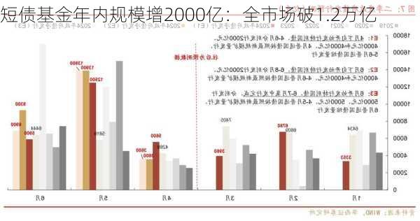 短债基金年内规模增2000亿：全市场破1.2万亿