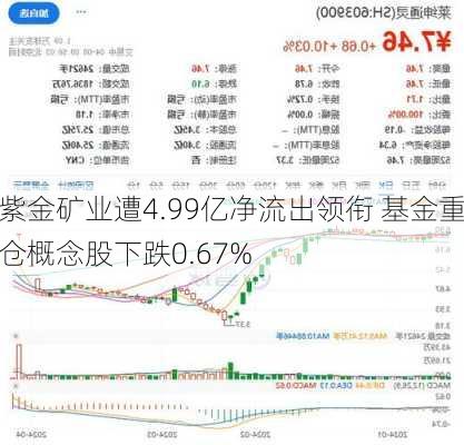 紫金矿业遭4.99亿净流出领衔 基金重仓概念股下跌0.67%