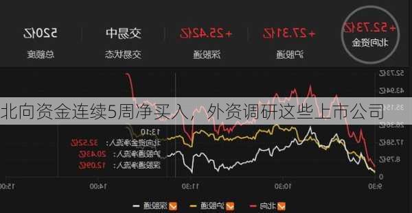 北向资金连续5周净买入，外资调研这些上市公司