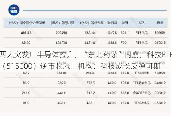 两大突发！半导体拉升，“东北药茅”闪崩，科技ETF（515000）逆市收涨！机构：科技成长反弹可期