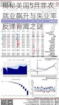 揭秘美国5月非农就业飙升与失业率反弹背离之谜