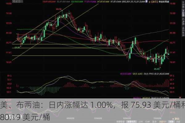 美、布两油：日内涨幅达 1.00%，报 75.93 美元/桶和 80.19 美元/桶