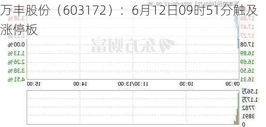 万丰股份（603172）：6月12日09时51分触及涨停板