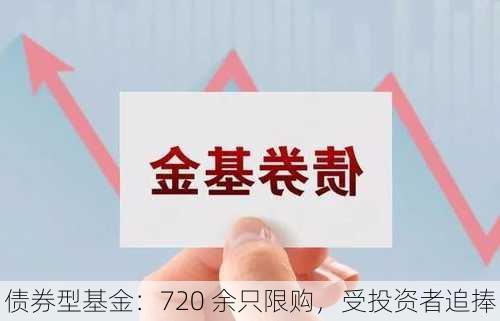 债券型基金：720 余只限购，受投资者追捧