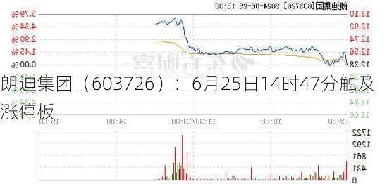 朗迪集团（603726）：6月25日14时47分触及涨停板