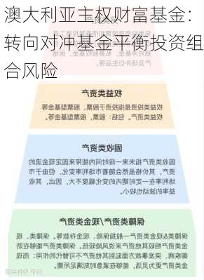 澳大利亚主权财富基金：转向对冲基金平衡投资组合风险