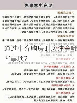 通过中介购房时应注意哪些事项？