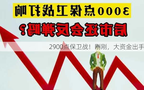 2900点保卫战！刚刚，大资金出手