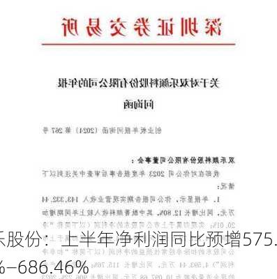 双乐股份：上半年净利润同比预增575.69%―686.46%