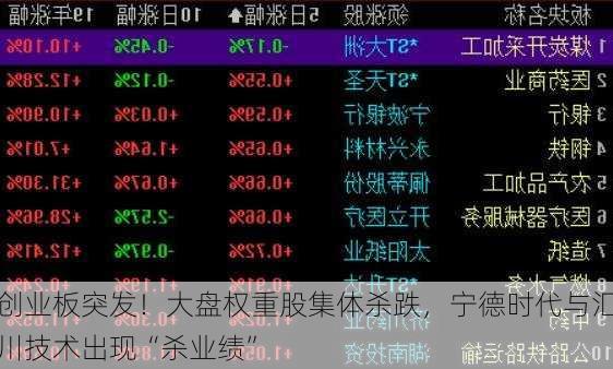 创业板突发！大盘权重股集体杀跌，宁德时代与汇川技术出现“杀业绩”