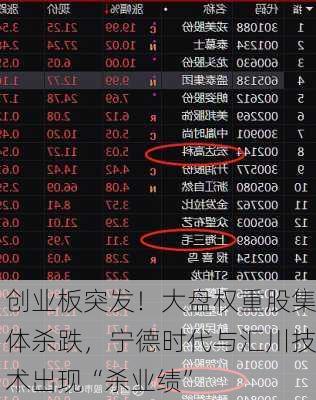 创业板突发！大盘权重股集体杀跌，宁德时代与汇川技术出现“杀业绩”
