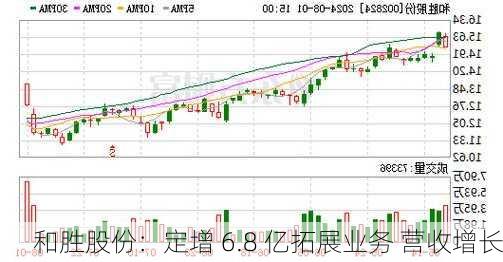 和胜股份：定增 6.8 亿拓展业务 营收增长