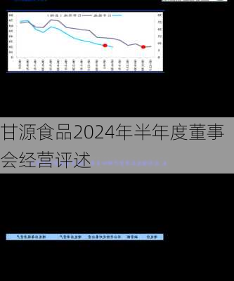 甘源食品2024年半年度董事会经营评述