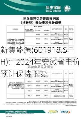 新集能源(601918.SH)：2024年安徽省电价预计保持不变