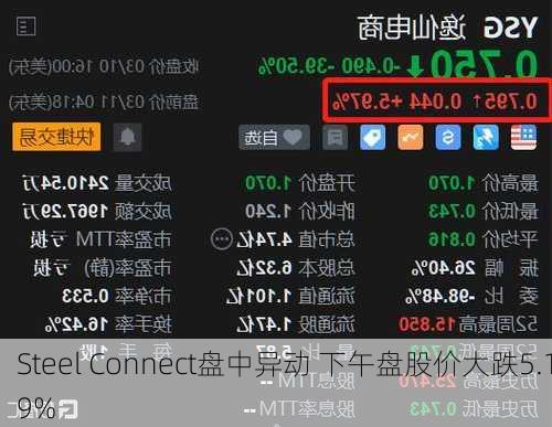 Steel Connect盘中异动 下午盘股价大跌5.19%