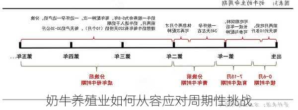 奶牛养殖业如何从容应对周期性挑战