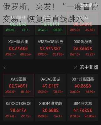 俄罗斯，突发！“一度暂停交易，恢复后直线跳水”