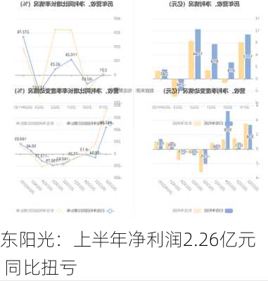 东阳光：上半年净利润2.26亿元 同比扭亏