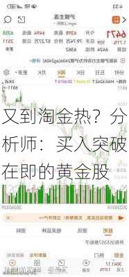 又到淘金热？分析师：买入突破在即的黄金股