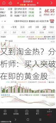 又到淘金热？分析师：买入突破在即的黄金股