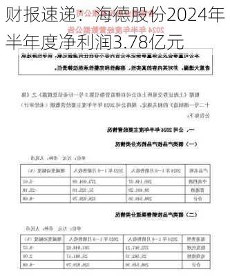 财报速递：海德股份2024年半年度净利润3.78亿元